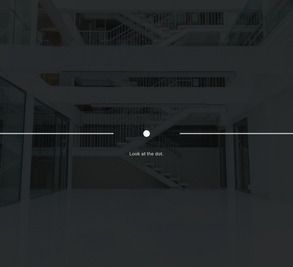 foveated_rendering_calibration_start-600x547