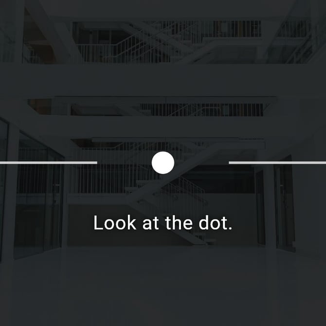 foveated_rendering_calibration