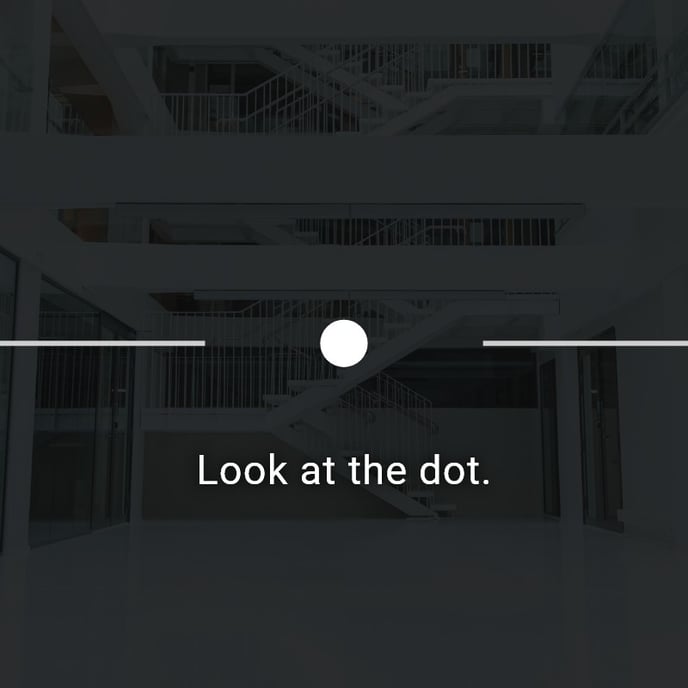 foveated_rendering_calibration